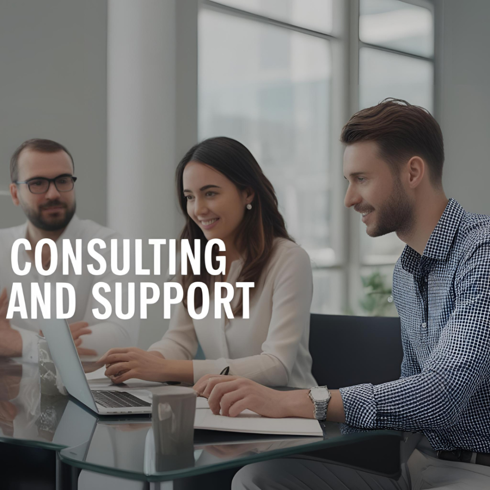 consulting and support